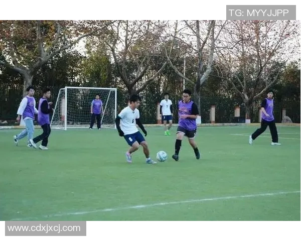 足球跑啦带你领略激情四溢的绿茵场景与精彩赛事背后的故事